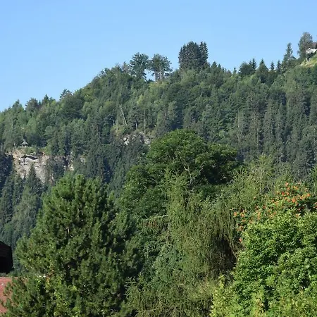 Trauntschnig *